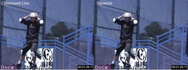 WebM Figure 9 WebM Figure 9